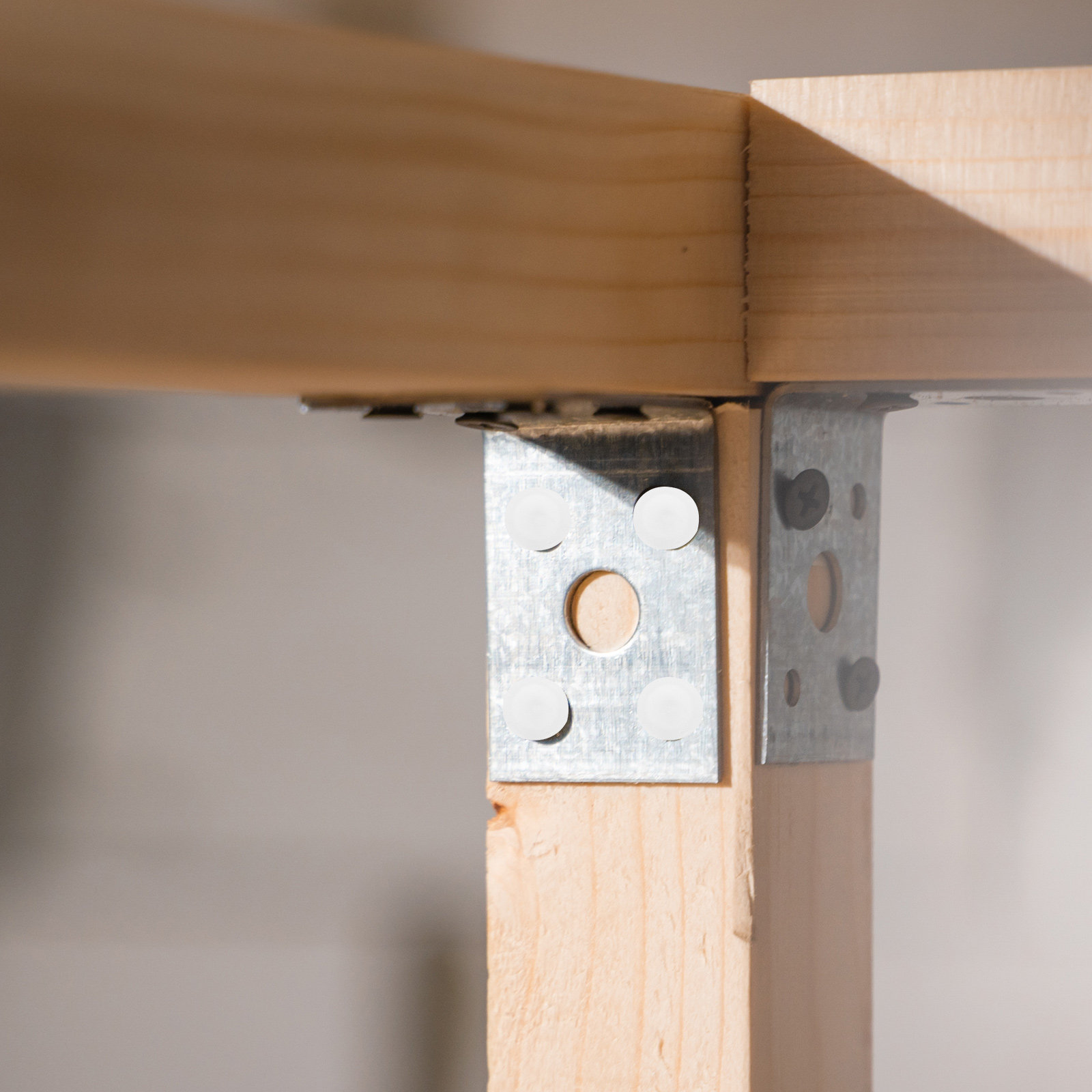 200個入り、白いプラスチック製のネジカバー。丸型で、キッチ - Woodworking Kitchen Projects のレビューと価格